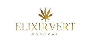 elixirvert